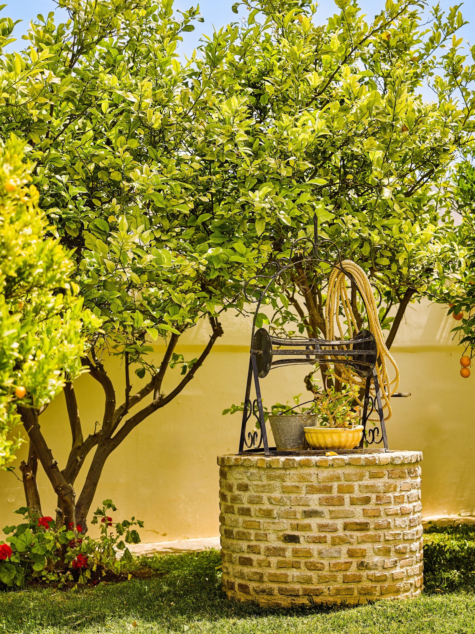 Traditional garden well